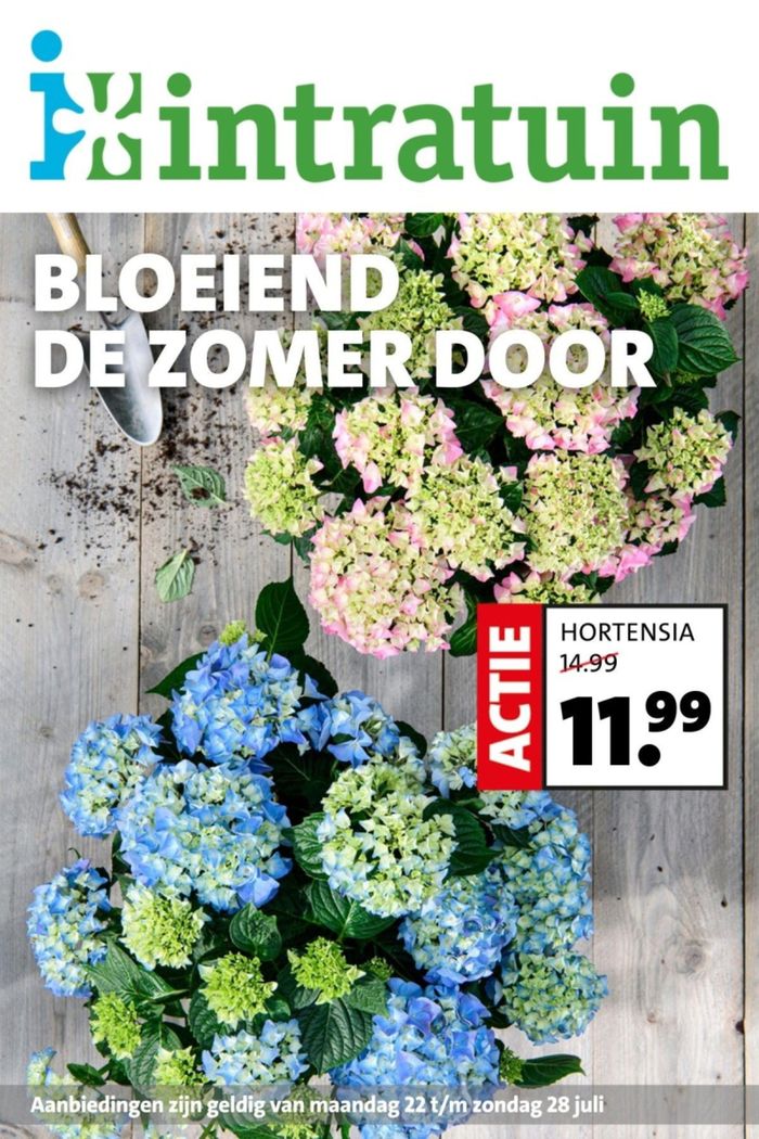 Catalogue Intratuin à Louvain | Bloeiend De Zomer Door | 22/7/2024 - 28/7/2024