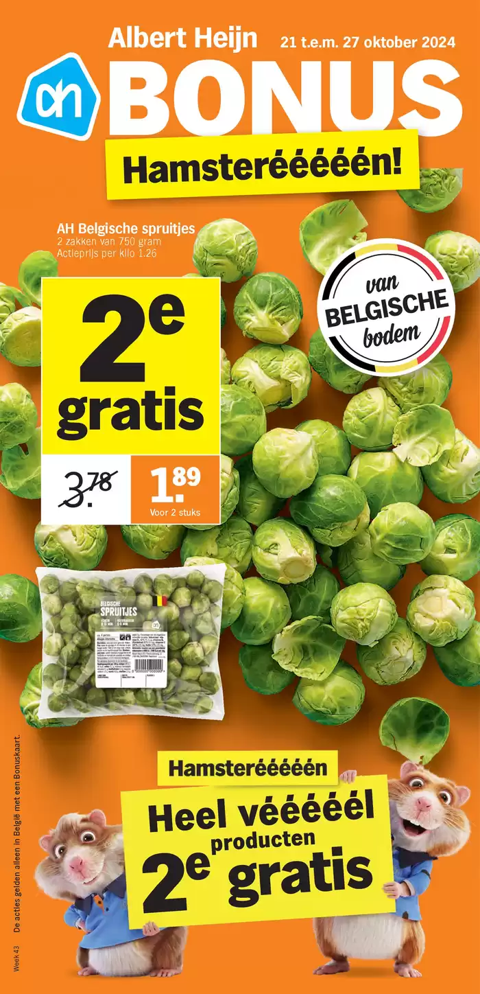 Catalogue Albert Heijn à Gent | Bonus Hamsterééééén! | 21/10/2024 - 27/10/2024