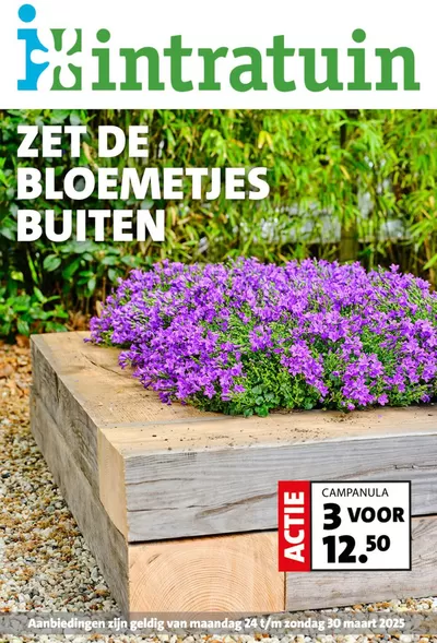 Promos de Bricolage et Jardin à Louvain | Zet De Blometjes Buiten sur Intratuin | 25/3/2025 - 30/3/2025