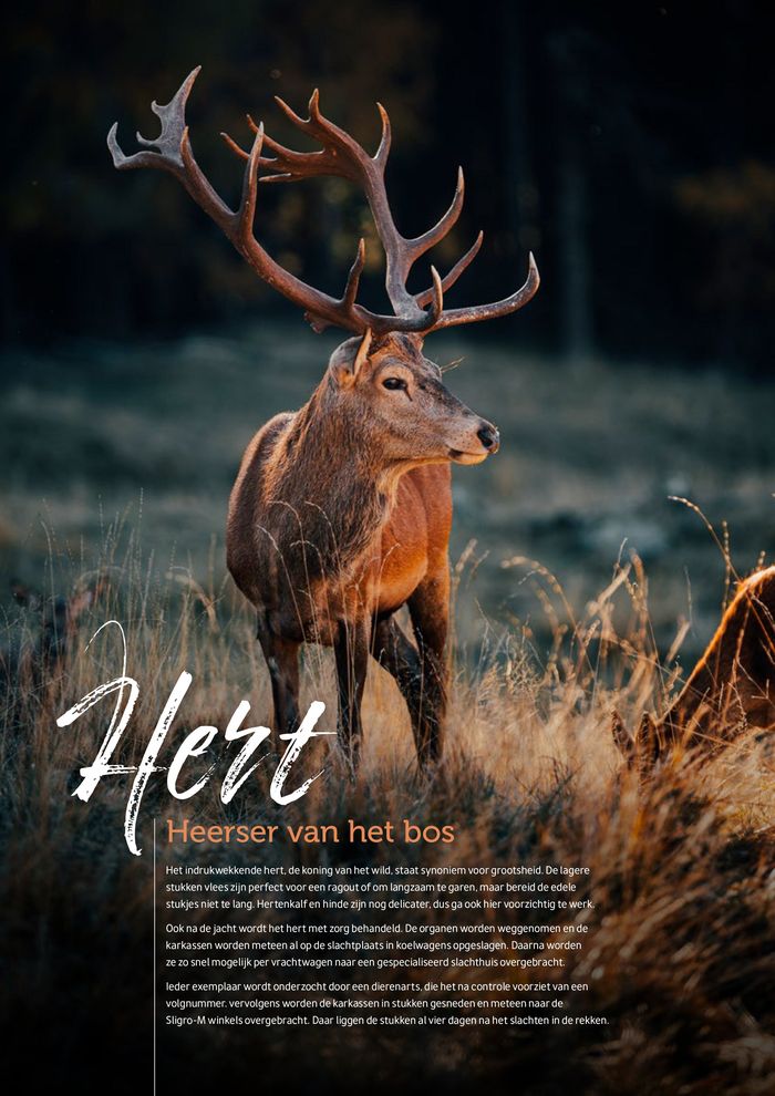 Catalogue Metro à Bruxelles | Proef de herfst | 29/9/2023 - 31/12/2023