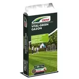 Gazonmeststof Vital-Green 20 kg offre à 53,99€ sur AVEVE