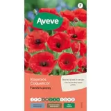 Klaproos Flanders Poppy offre à 1,89€ sur AVEVE