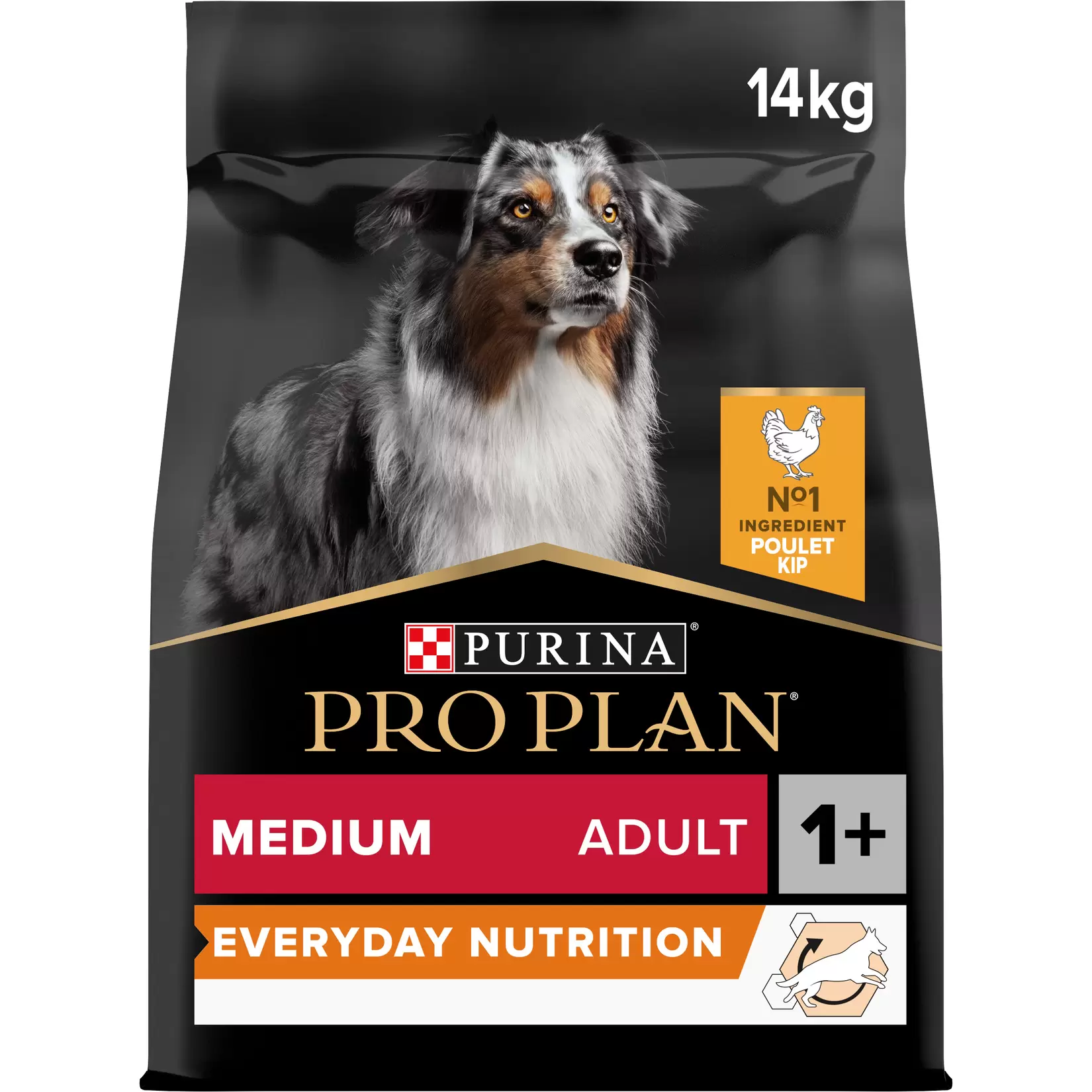 Pro plan croquettes | everyday nutrition | chien (adulte / moyen) | poulet | 14kg offre à 56,99€ sur Tom & Co