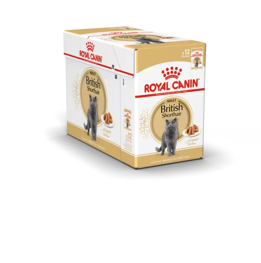 Royal canin british shorthair adult - mousse pour chat british shorthair - 12x85g - offre à 20,09€ sur Tom & Co