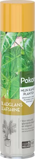 Pokon bladglans 600 ml offre à 10,99€ sur Intratuin