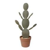 Cactus Fernando - H 64 cm offre à 24,99€ sur La Foir'Fouille