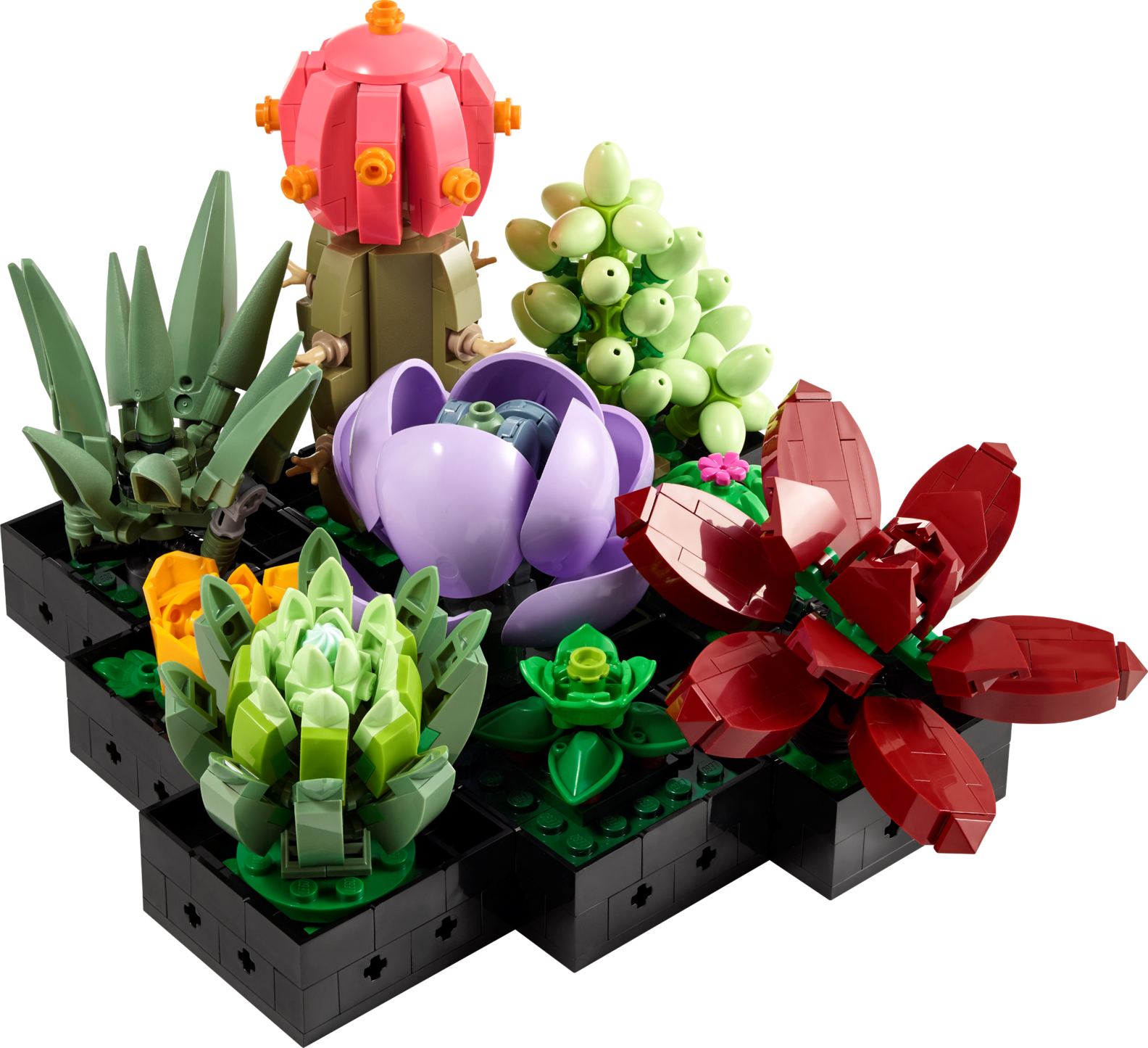 Les succulentes offre à 49,99€ sur LEGO