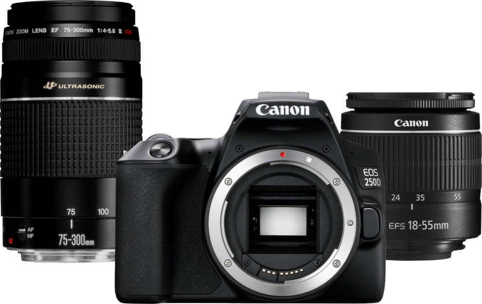CANON Reflexcamera EOS 250D + 18-55mm + 75-300mm (3454C016AA) offre à 990,99€ sur Media Markt