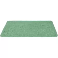 Toiletmat 45x60 cm mint offre à 10,99€ sur Maxi Zoo